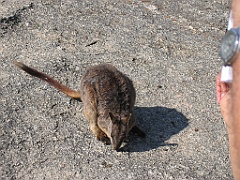 CairnsTC105 Granite Gorge